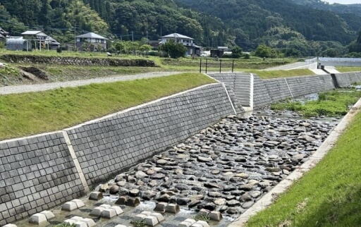 護岸整備が施された河川の様子